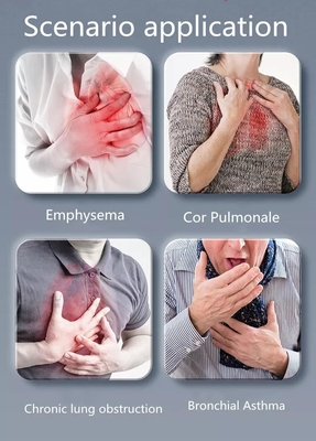 10 litros máquina médica portátil do concentrador do oxigênio da PSA para respirar
